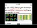 IBT - 2016-Lec6 Interpreting Your Multiple Sequence Alignment