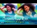 Download Lagu Yannet Dinquu oromo music /Singitan Official  2022