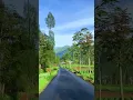 Download Lagu Gunung Terindah Indonesia Dengan Pemandangan Alam nya yang sejuk,The Most Baeutiful Mountain