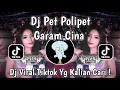 DJ PET POLIPET GARAM CINA X MAGIC VOICE REMIX MENGKANE VIRAL TIKTOK TERBARU 2025 !