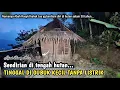 Download Lagu 30 TAHUN BERDIAM DIRI DI HUTAN TINGGAL DI GUBUK KECIL TANPA LISTRIK...