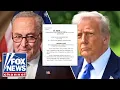 Download Lagu 'What are they afraid of?': Schumer takes aim at Trump