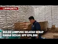 Lagu Bulog Lampung Selatan Serap Gabah Sesuai HPP Rp6.500