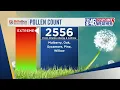 Pollen count for April 6