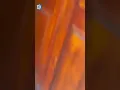 Download Lagu Curas prorrusos echan a patadas a un soldado