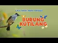 Download Lagu Lagu Anak Populer - BURUNG KUTILANG