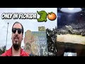 A Hidden Florida Gem Florida Citrus Center Ocala
