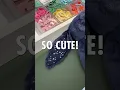Personalized Jelly cat