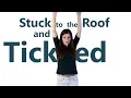 Stuck to the Roof and Tickled