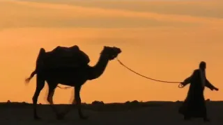 سورة يوسف شعبان الصياد 