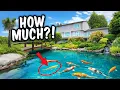 80 000 Backyard KOI POND With Fish Worth THOUSANDS Each