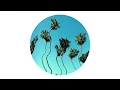 Hidden Spheres - Upsn Downs [Distant Hawaii]