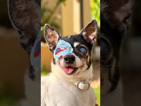 Kiko ha sido operado