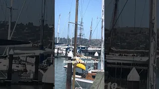 Subscribe to SailingUV on YouTube!! #fyp #sailing #vlog #dream #viralshort