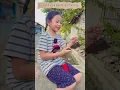 Download Lagu Layang - layang #shortvideo #layangan