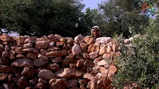 مسلسلات ايام زمان دندنها