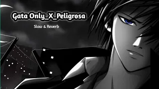 gata only x peligrosa slowed reverb 