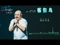 Download Lagu 【LYRIC】刀郎 《秭归鸟| zigui niao》山歌响起的地方 - Dao Lang 《Zigui Bird》