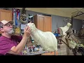 RC Taxidermy change out noses for mears whitetail forms 7 and 7