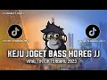Download Lagu DJ KEJU JOGET BASS HOREG JJ VIRAL TIKTOK TERBARU 2023