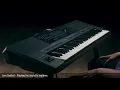 PSR-SX SERIES - LIVE CONTROL KNOBS