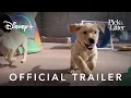 Video di Pick of the Litter – Official Trailer | Disney+ | Streaming Dec. 20