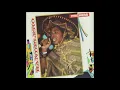 Pinchers - Bandelero - Alternative 12'' Mix (1991 - King Jammy)