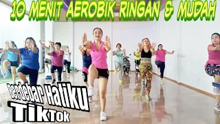senam aerobik gampang hanya 10 menit lagu terbaru untuk pemula emak emak