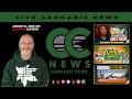 THC Tests Curaleaf s Aurora Bid Michigan Closures Cannabis Law Changes CCNEWS