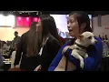Furball