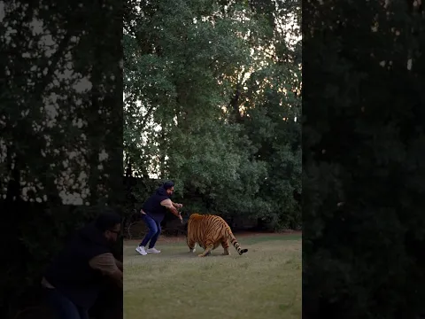 Tiger Wants to Attacks on Me 😱 | Nouman Hassan