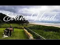 Reflections Holiday Park Evans Head Pet Friendly North Coast NSW