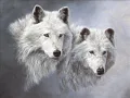 Marina Raye - Wolf sister