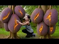 Download Lagu Harvest giant purple jackfruit in the garden | Village Style Cooking | Cooking In Village Couple