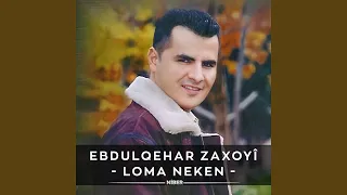 Loma Neken 