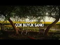 Bostancı Dayı - Denk Geliriz Belki?