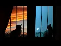 Goosetaf - Embers