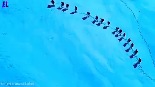 felling proud indian army felling proud indian army song felling proud indian army