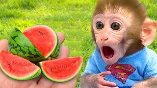 Bebe Mono BonBon Come Deliciosa Sandía Y Se Baña En Casa - MONO BONBON ESP