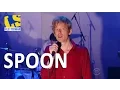 Spoon - Inside Out 14 David Letterman