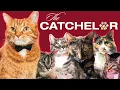 The Catchelor