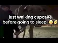 Scary Memes
