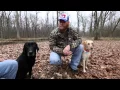 Waterfowl Hunt Jackets by Banded p1