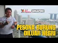 Download Lagu PESONA BURUNG DILUAR NEGRI! BIRD PARADISE SINGAPORE | D'HUANG AVIARY | TEDY HUANG