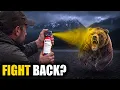 10 Bear Defenses Ranked The Best One Isn t a Gun