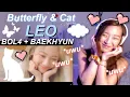 BOL4 feat. BAEKHYUN (백현) - LEO (Butterfly \u0026 Cat) REACTION | 볼빨간사춘기 - 나비와 고양이 ♡ 🦋🐈