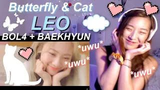 Download BOL4 feat. BAEKHYUN (백현) - LEO (Butterfly \u0026 Cat) REACTION | 볼빨간사춘기 - 나비와 고양이 ♡ 🦋🐈 MP3