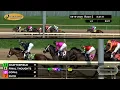 RACE 5 PROGRAM 08 18 2026