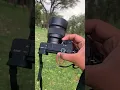Download Lagu Sony A6400  50mm lens photography test #photography #sonyportrait #sony #trend #viral  #shrots