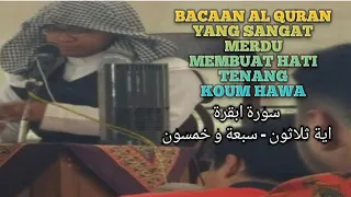 bacaan al quran yang sangat merdu menjadi penenang hati koum hawa mba 3